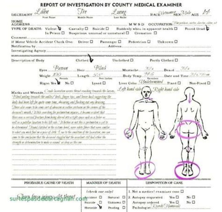 Are Gigi & Kobe Bryant Autopsy Report On Twitter? See Their Drawing & Crash Photos